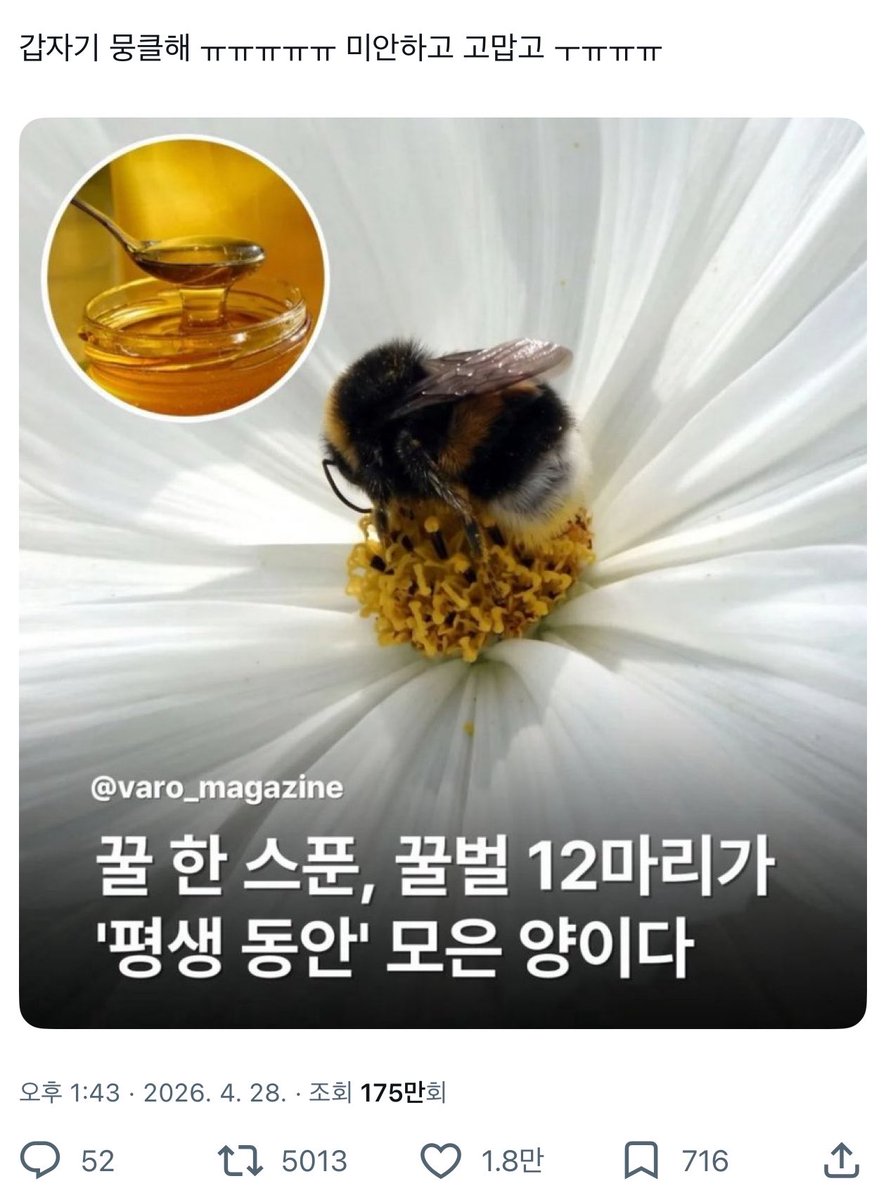 김미묘 tweet media