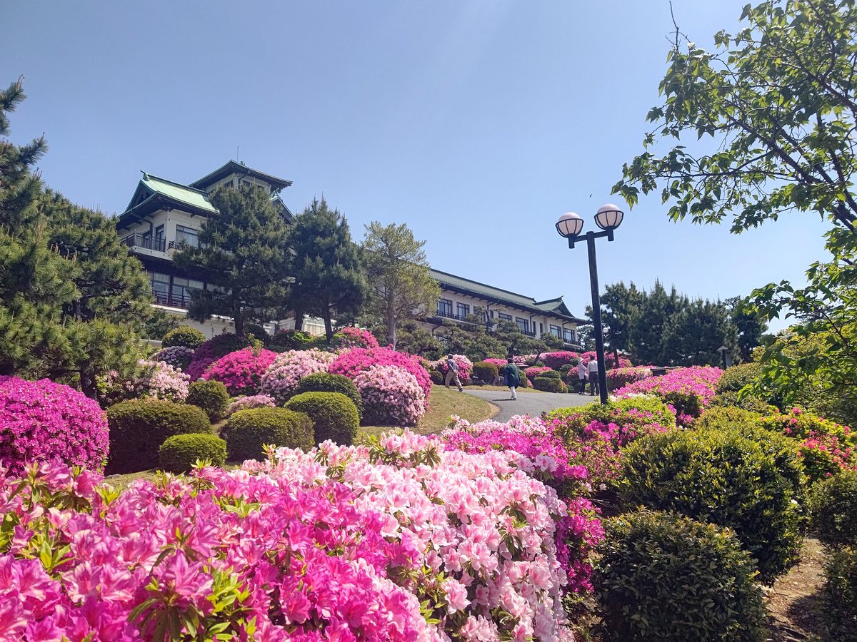 nobu sugi tweet media