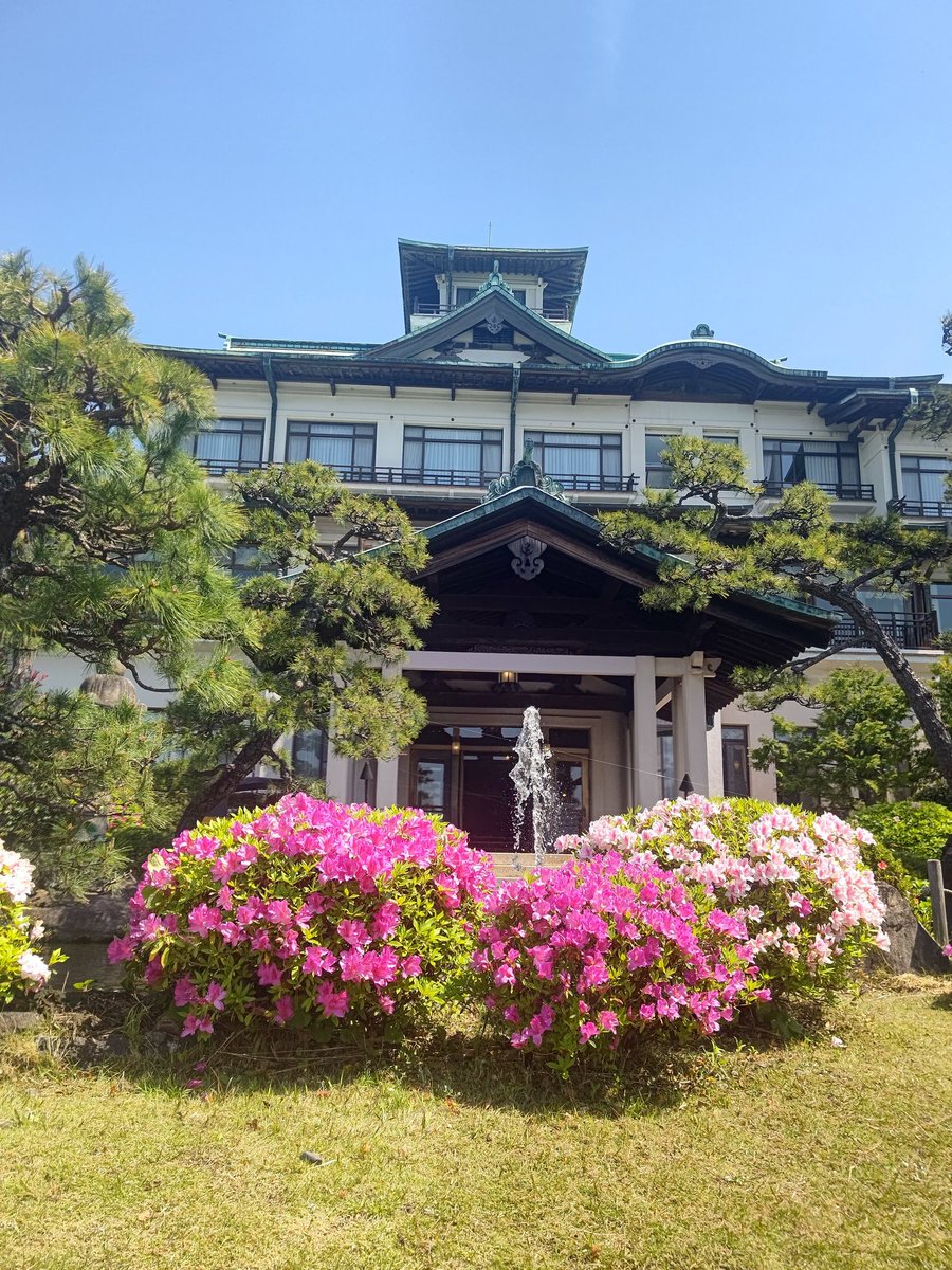 nobu sugi tweet media