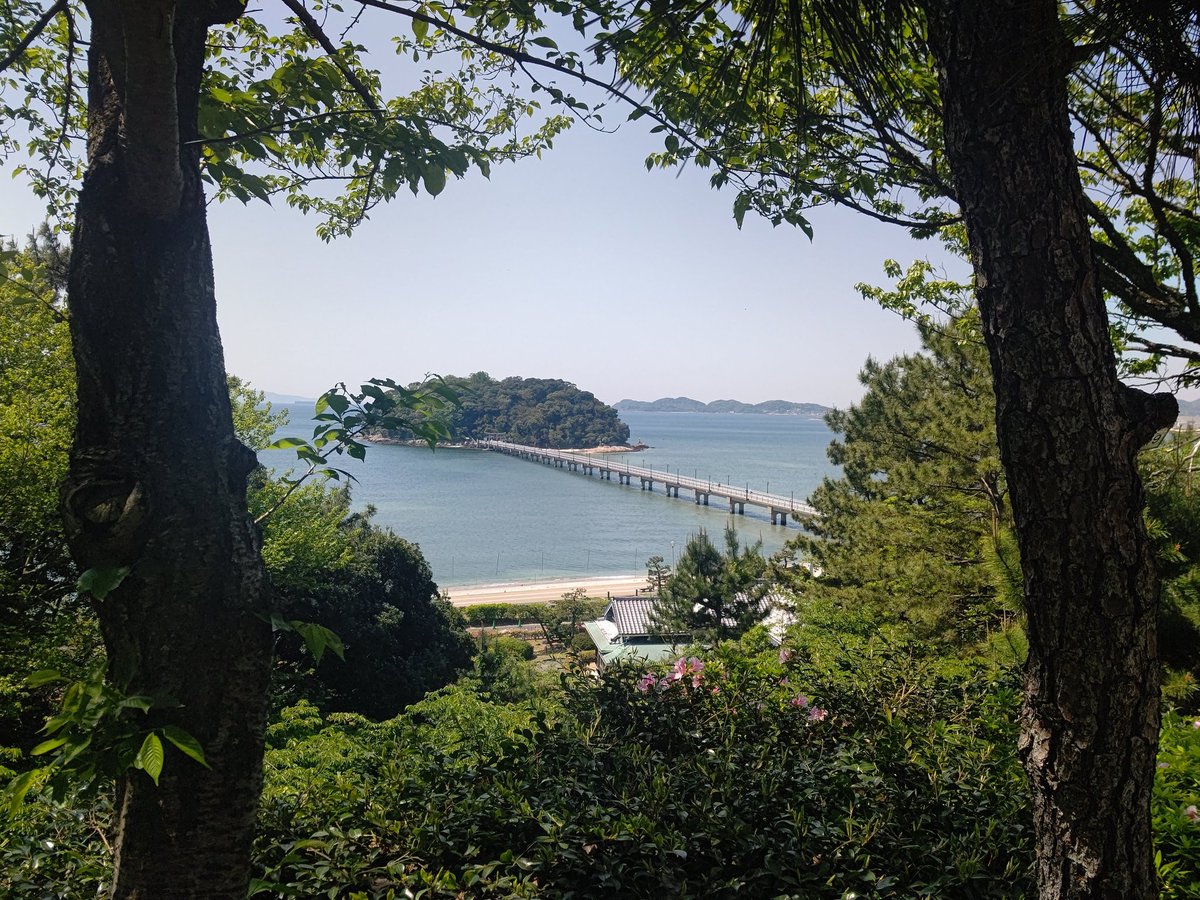 nobu sugi tweet media