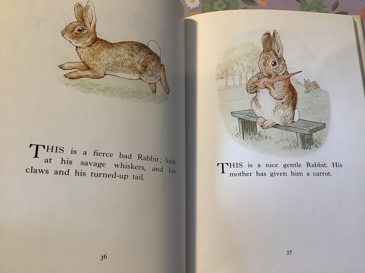 WatsonsVintage's tweet image. Such a BEAUTIFUL Book and a lovely #NewBaby #giftidea Vintage 1999 Beatrix Potter - Best Loved Tales book in Hardback - Contains 4 Short Stories - Childhood Nostalgia - SPECIAL Birth Year Gift etsy.me/4vZpgtm via @Etsy #VintageBooks #ChildrensBooks #BeatrixPotter