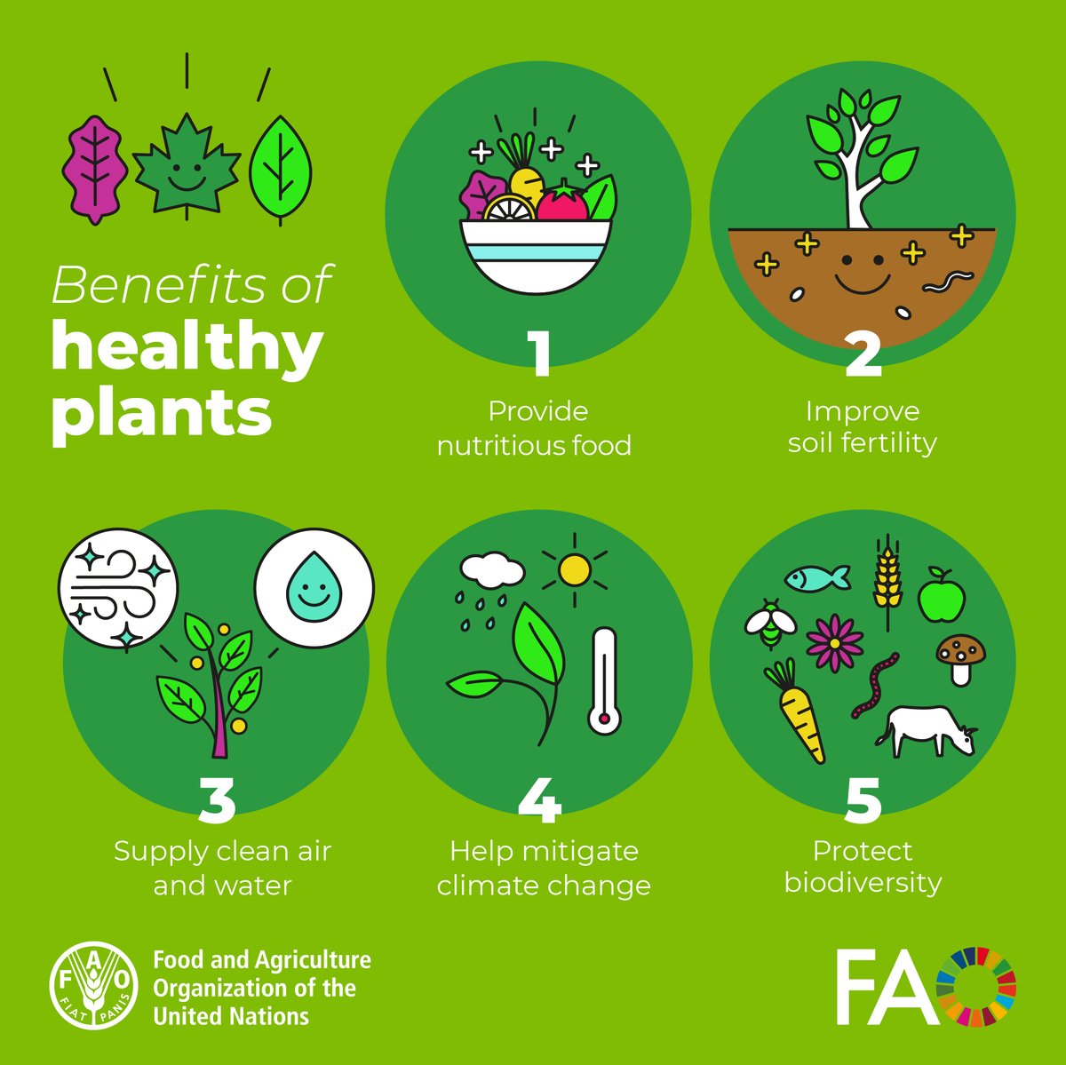 ippcnews's tweet image. 🌿Did you know? Plant health = food security 🌍

Healthy plants support food, soil, water, climate &amp;amp; biodiversity.

But they’re under threat from pests, diseases &amp;amp; environmental pressures.
👉 bit.ly/4mYdV8Z
#PlantHealth #FoodSecurity #Sustainability