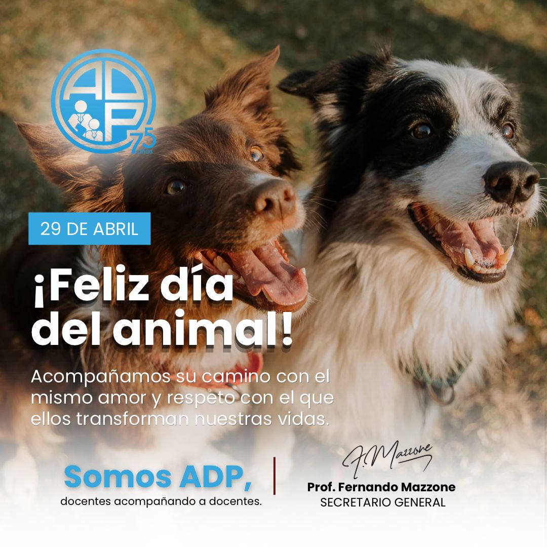 Asociación Docente Provincial tweet media
