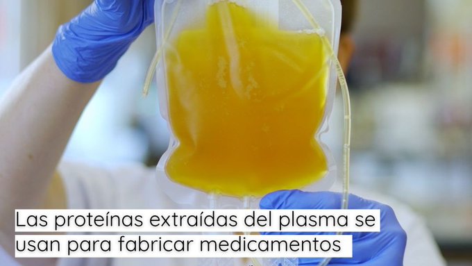 GVAdonasang's tweet photo. Las proteínas extraídas del #plasma se usan para fabricar medicamentos.
👉#SabiasQué se necesita una media de 130 donaciones de #plasma para tratar a un paciente con inmunodeficiencia primaria durante un año?

#DonaPlasma
✍️Te informamos👉🔗https://t.co/2LiFKnC9ac https://t.co/CgTt6HZuab