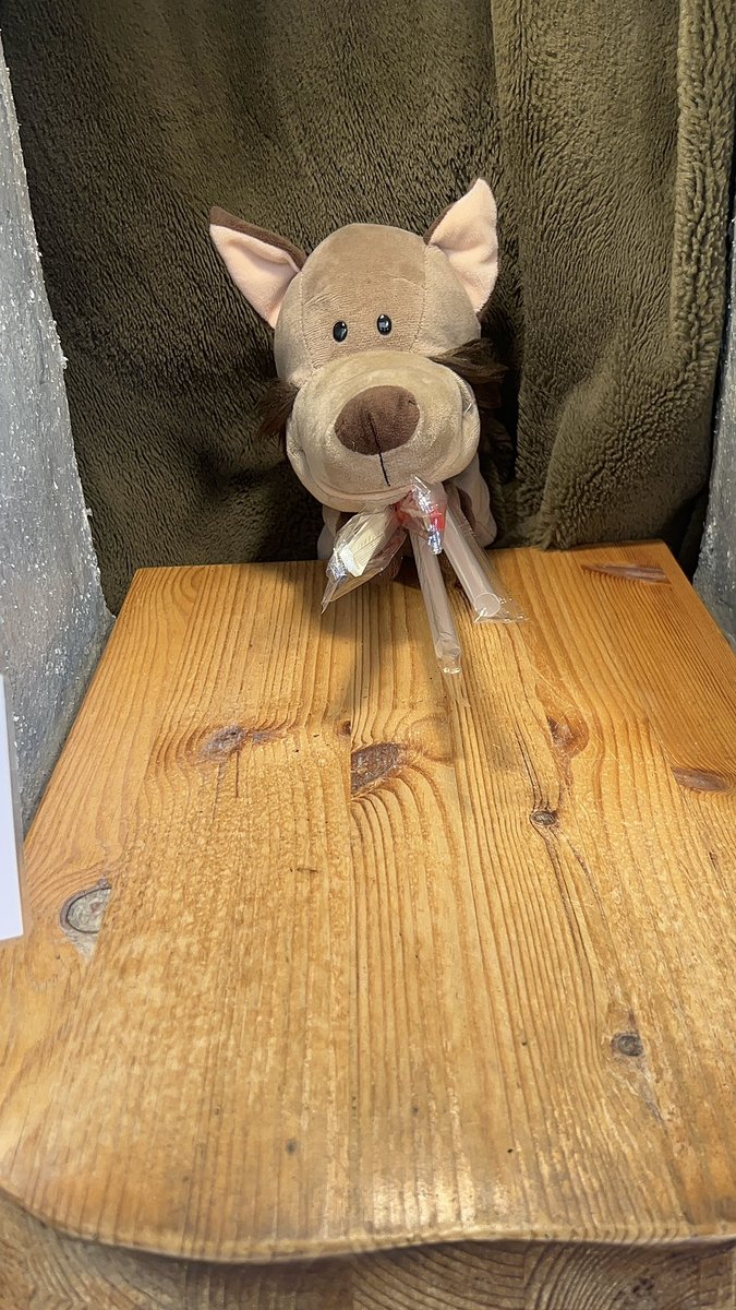 にゃん🐱🐶🐾 tweet media