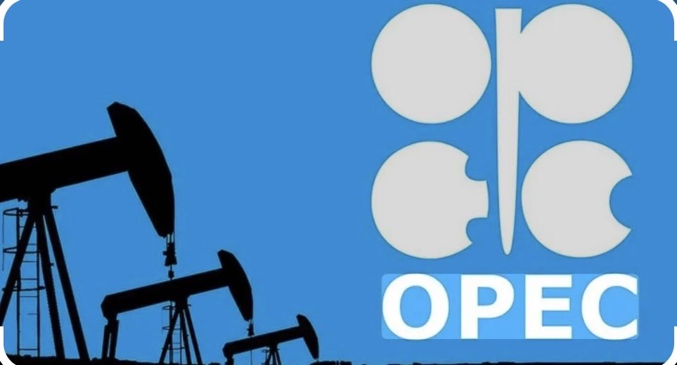 Legal Consultant &Politician tweet media