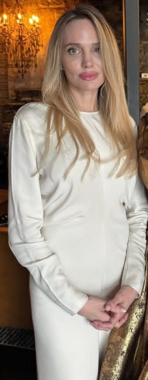 chinese dress ladies Ivory Angelina Jolie V Neck Long Sleeve Slit Wrap Dress Prom Red Carpe   Hoprom