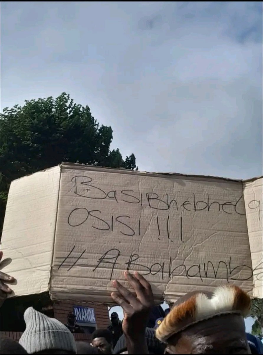 Pro Jileka tweet media