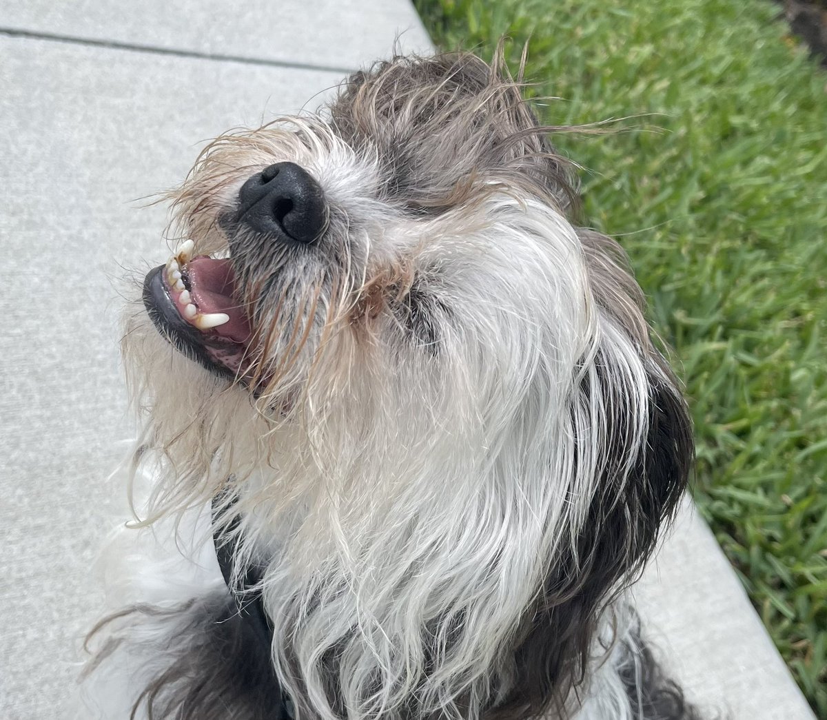 G R ᛃ ⚠️ tweet media