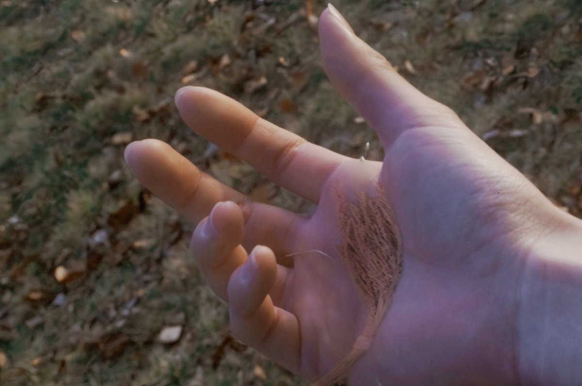 ハミガキコ tweet media