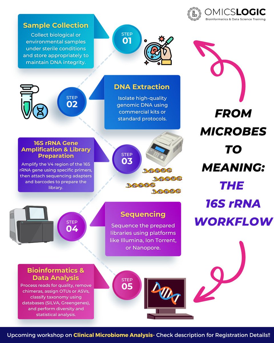 OmicsLogic's tweet image. What stories are hidden in the gut? 🔬🦠

Go from raw FASTQ files to clinical insights in our 2-Day Hands-On Workshop! Master 16S rRNA analysis, DADA2, and diversity metrics using real clinical data.

🔗 Register here: forms.gle/xQLvHAEoF7tQqE…

#Microbiome #Bioinformatics #16S