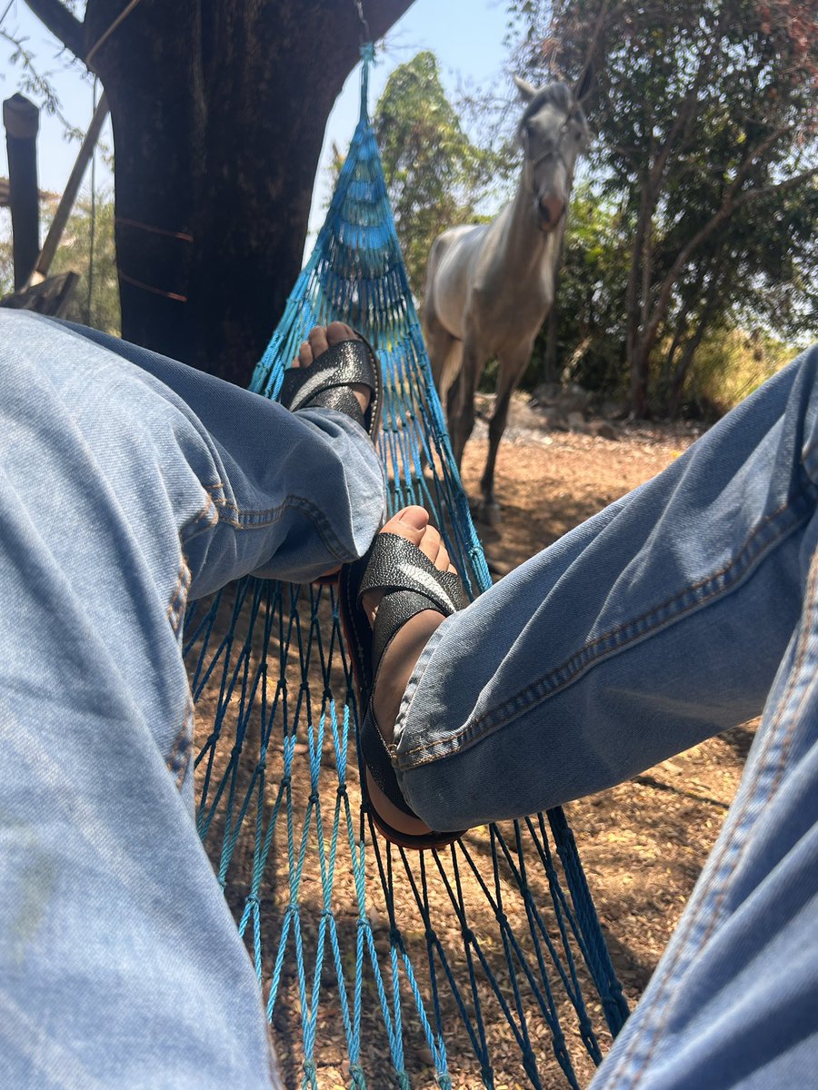 JerSyop85377's tweet photo. @HHuaraches Nada mejor que andar en el rancho con los huaraches bien puestos en lo pies cochos https://t.co/3gsKjha41d
