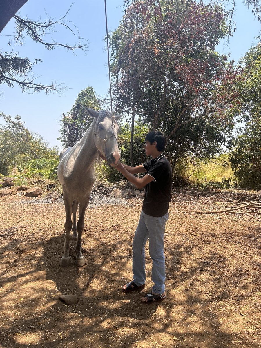 JerSyop85377's tweet photo. @HHuaraches Nada mejor que andar en el rancho con los huaraches bien puestos en lo pies cochos https://t.co/3gsKjha41d