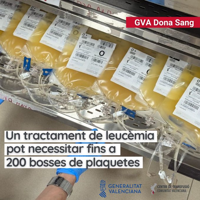 GVAdonasang's tweet photo. Las #plaquetas son fundamentales en los tratamientos de oncología.    
💢Una dosis de tratamiento para un adulto requiere 4 donaciones convencionales, en la donación por #aféresis la obtenemos de un solo donante.  

+info🔗https://t.co/rBFc7xnytf 

#infodonación https://t.co/vZHPj6S6fc