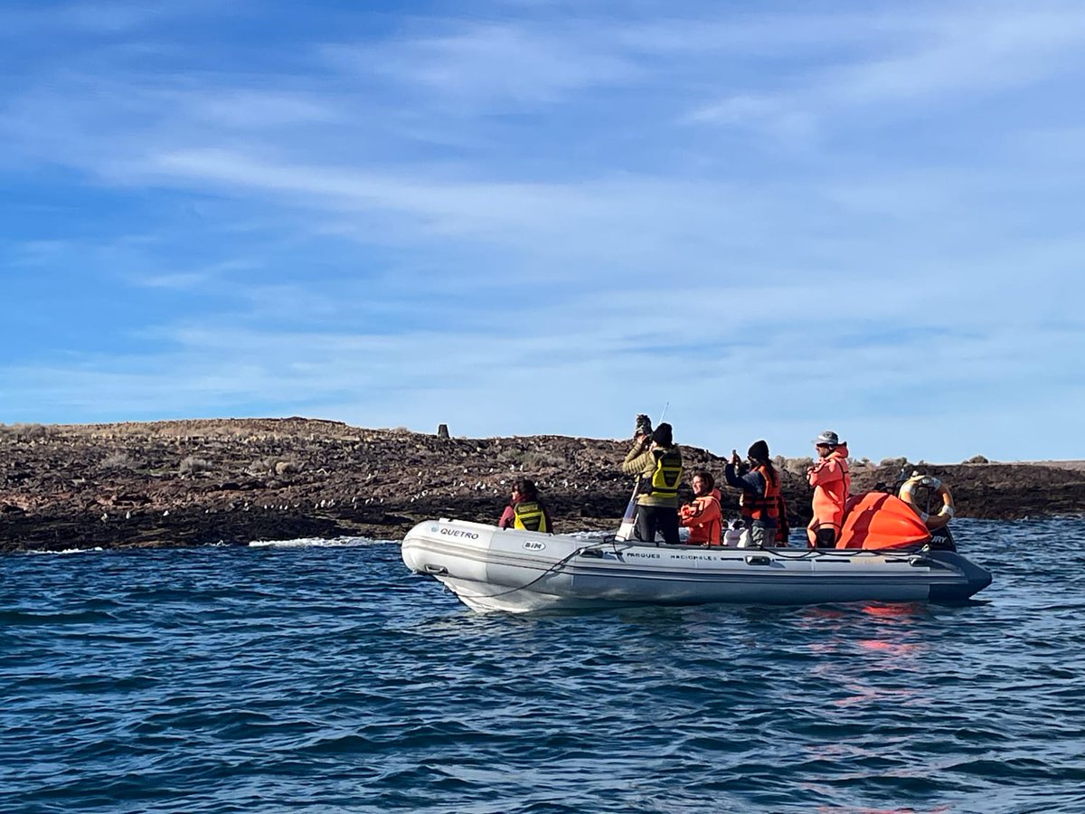 MollMadryn's tweet image. #Chubut Provincia avanza en talleres participativos para el Plan de Manejo del Parque Provincial #Patagonia #Azul 
@gobiernochubut 
digitalchubut.com/provincia-avan…