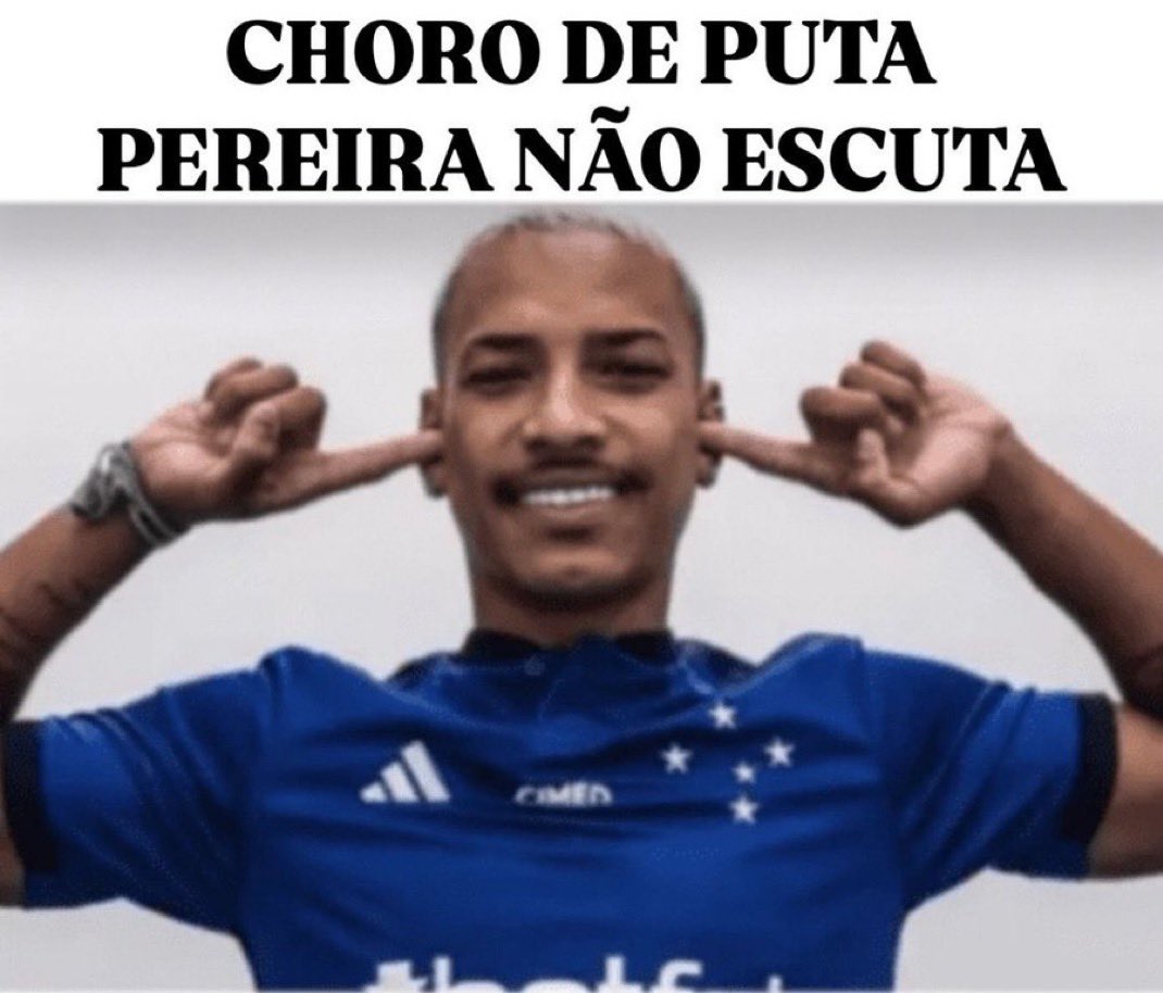 Leozinᶜᵉᶜ 🦊💙 tweet media