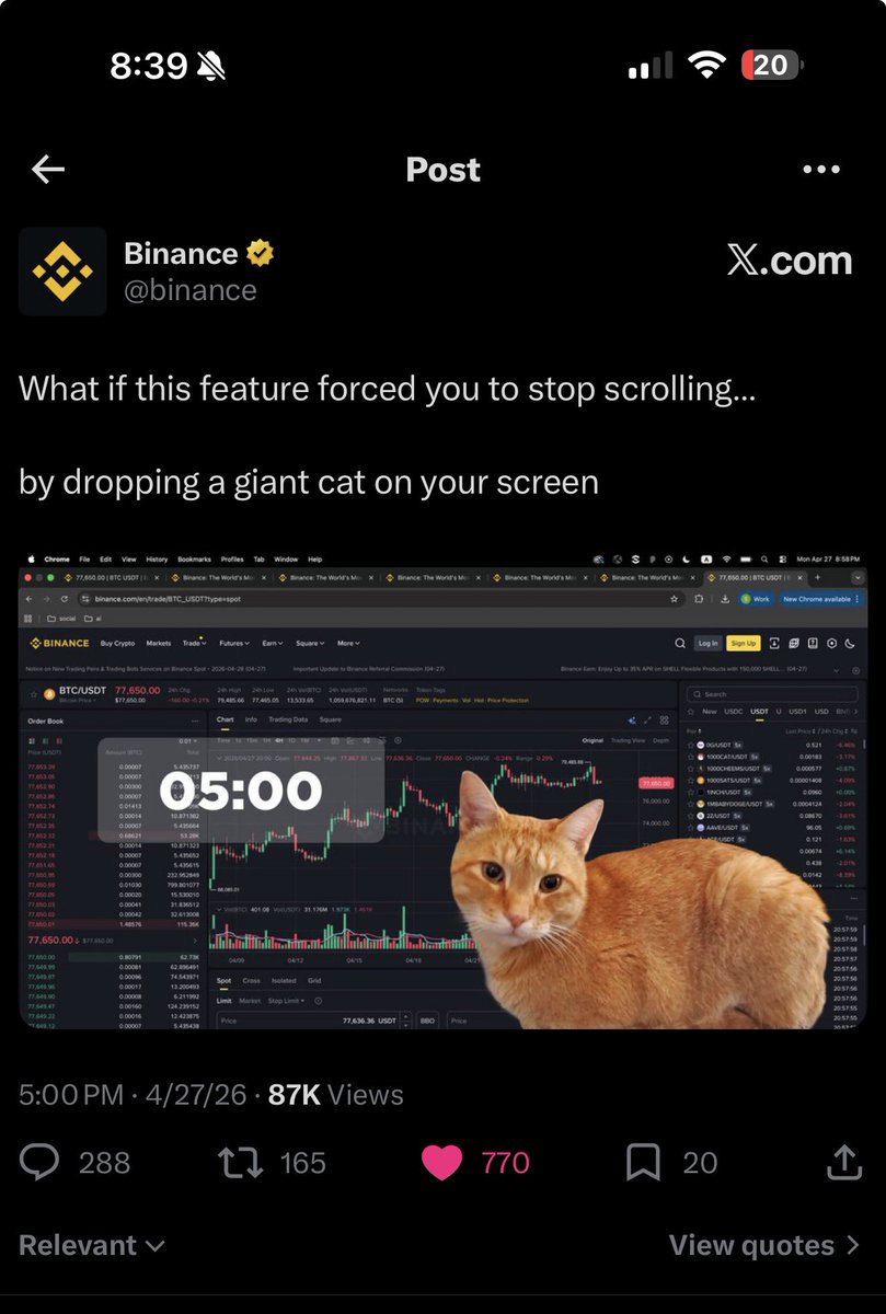 CatSpaceX tweet media