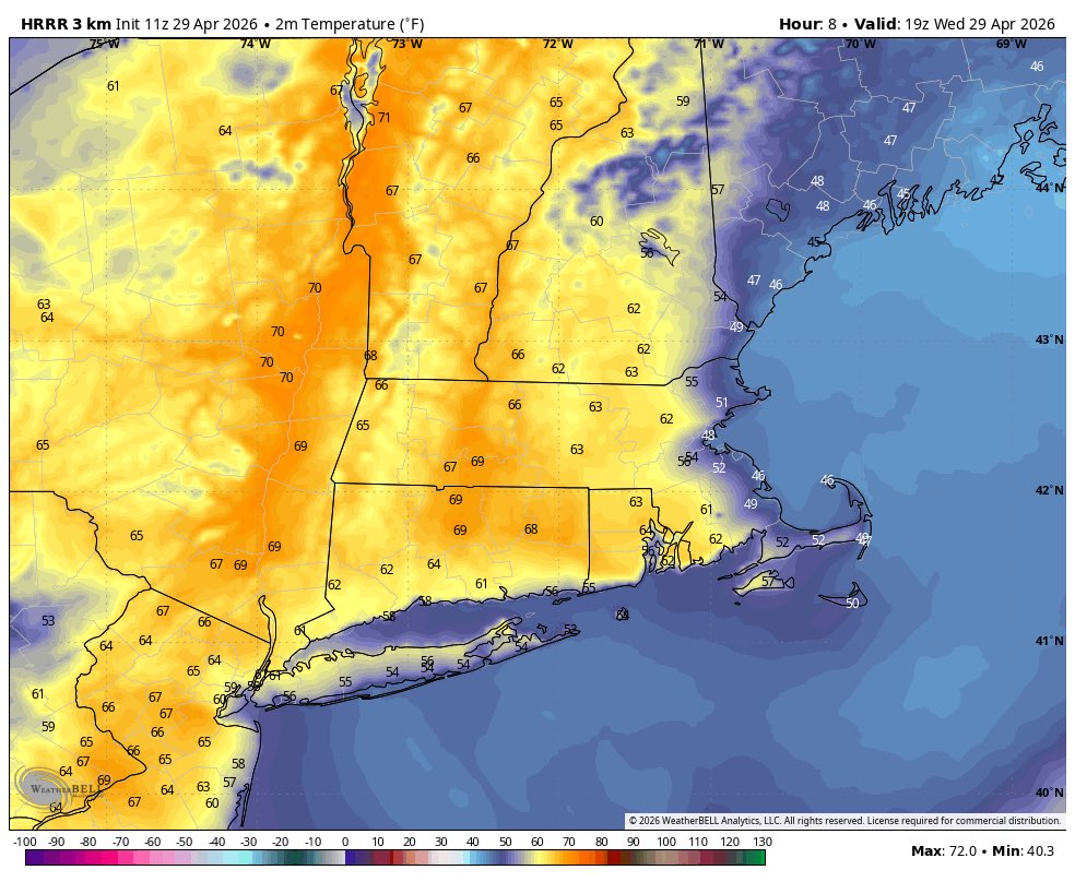 Boston Weather Consulting (by Owen) tweet media