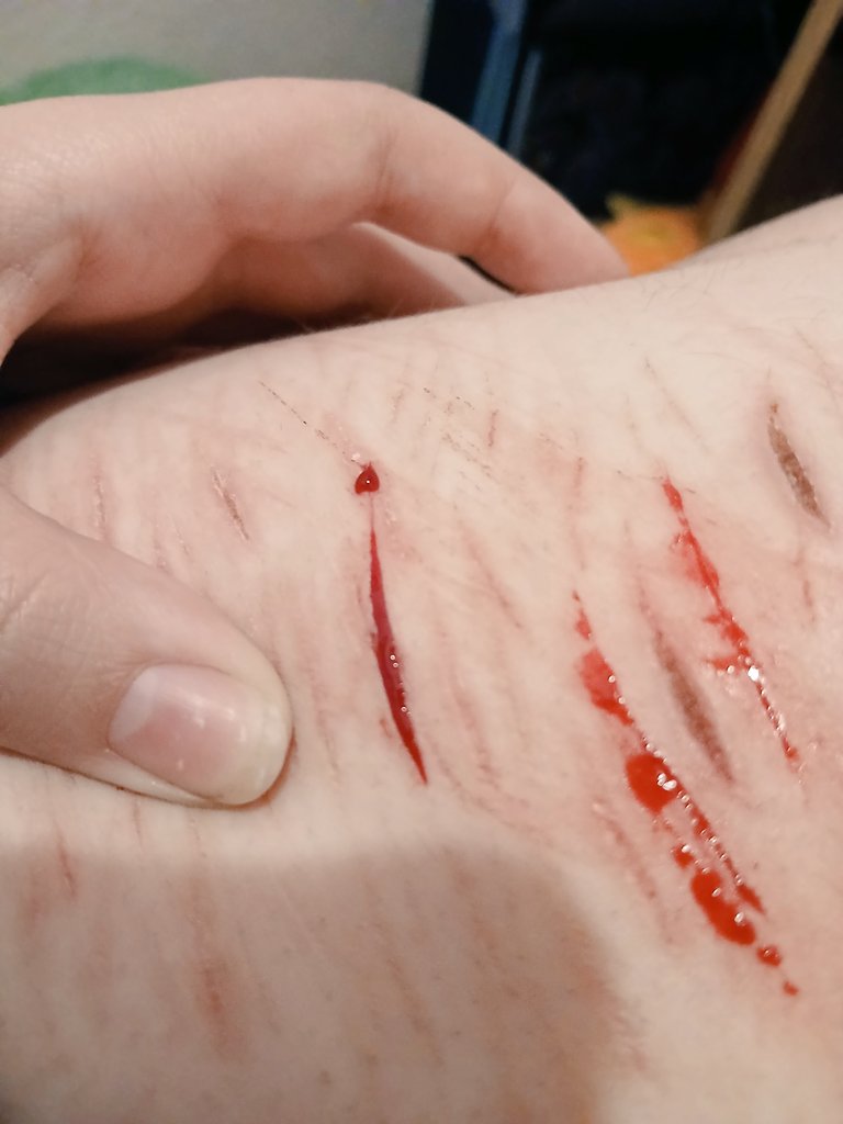 𓏲੭Kewtie of shedtwt𓏲𑁘 𓏲੭ tweet media