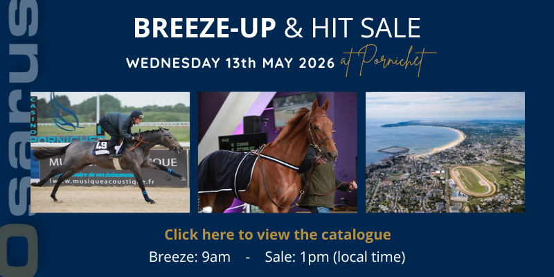 equineline's tweet photo. The 2026 Osarus Breeze-Up &amp; Hit Sale catalog has arrived on the Equineline Sales Catalog App.
Download the free app today for instant, on-the-go access: https://t.co/JJSONnspWc @OsarusSales https://t.co/H9gXs2lMEE