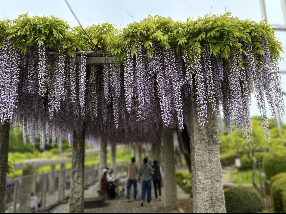 Xメン｜500社の運用プロデューサー tweet media