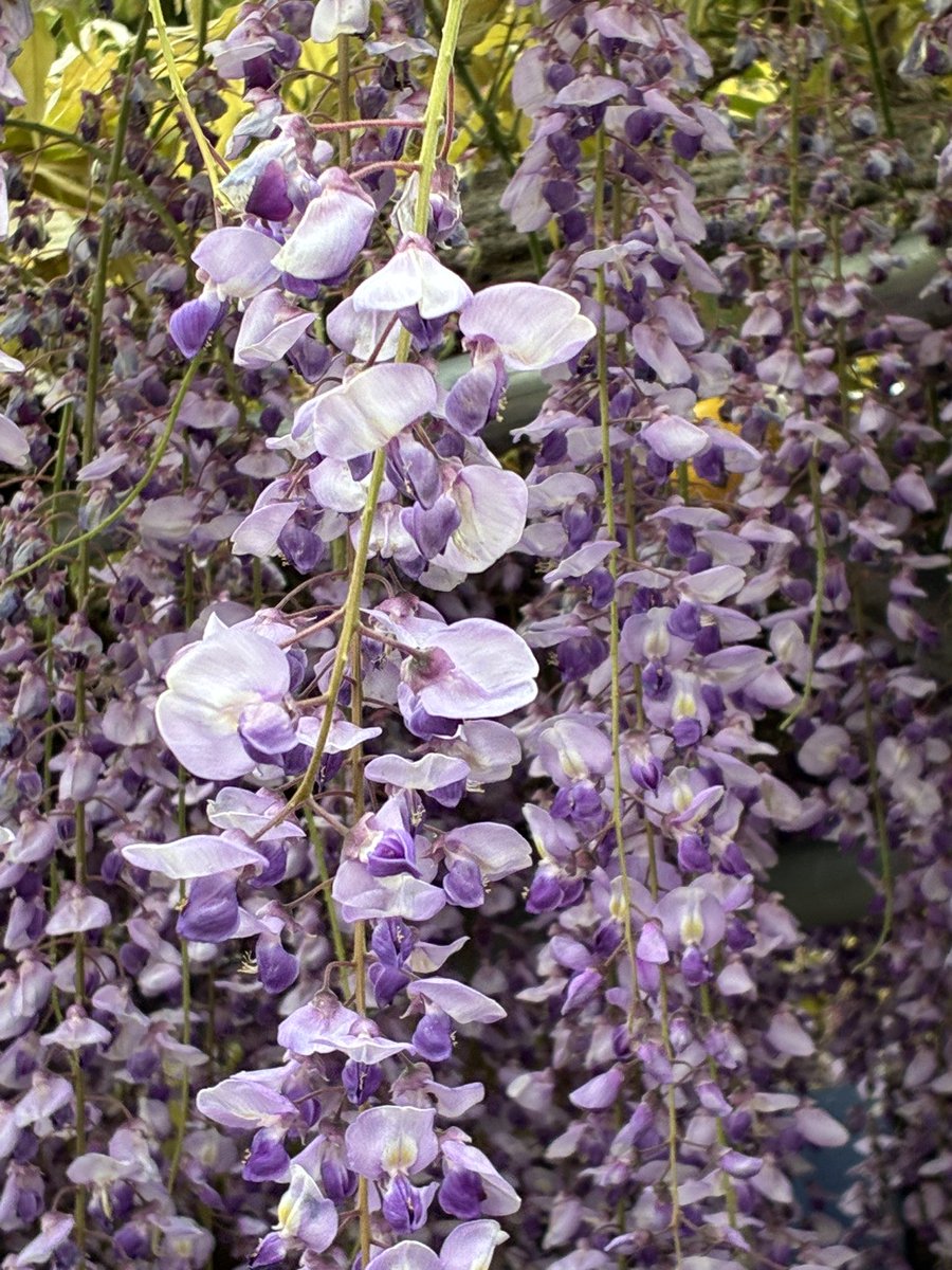 Xメン｜500社の運用プロデューサー tweet media