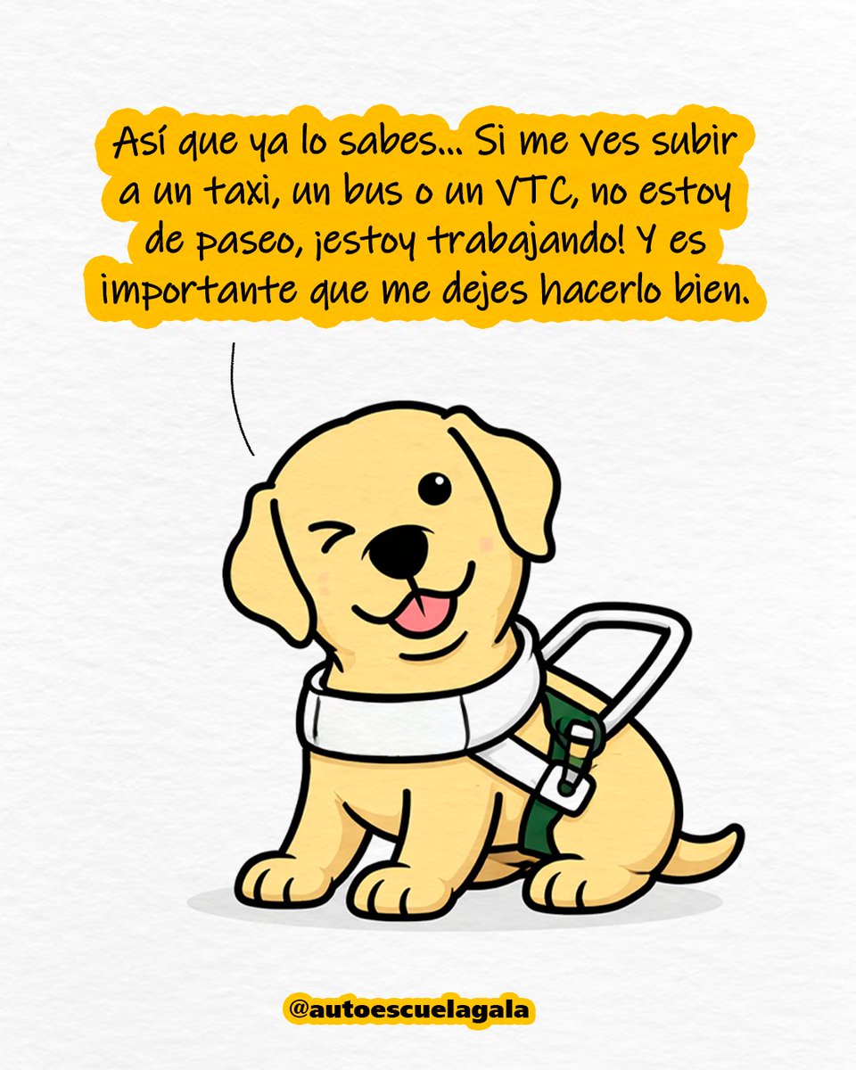 autoescuelagala's tweet image. #Inclusión
#HéroesDeCuatroPatas
#Autonomía
#Accesibilidad
#DíaInternacionalDelPerroGuía
#ONCE