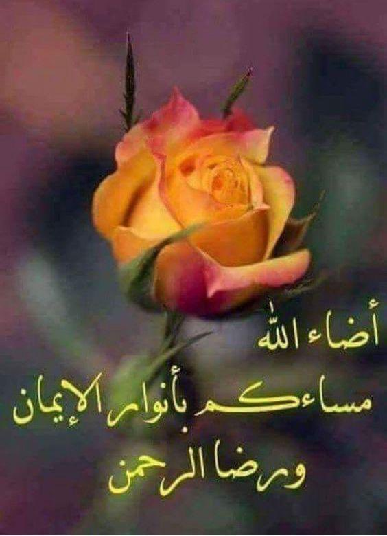 Mallhudan's tweet photo. ☀☀
🍀 *_تدبرأت آيه_*🍀
۝أَنِّي لا أُضيعُ عَمَلَ عامِلٍ مِّنكُم۝
ما أطمأنّها من آية… كل تعبٍ، كل مجاهدةٍ، كل نيةٍ صادقة… هي محفوظة عند الله لا تسقط ولا تُنسى، فامضِ فلا شي يضيع عنده سبحانه،
*_اللهم اجعل كل ما قدمناه ذخرًا يوم نلقاك_* https://t.co/tUoVMM6baQ