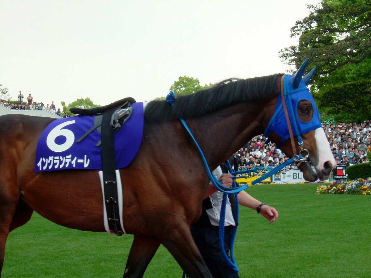 2004年春の天皇賞の写真はパドック写真でてきた☺ 優勝馬イングラン