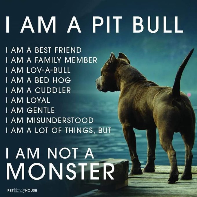 Pit Bulls Against Discrimination tweet media