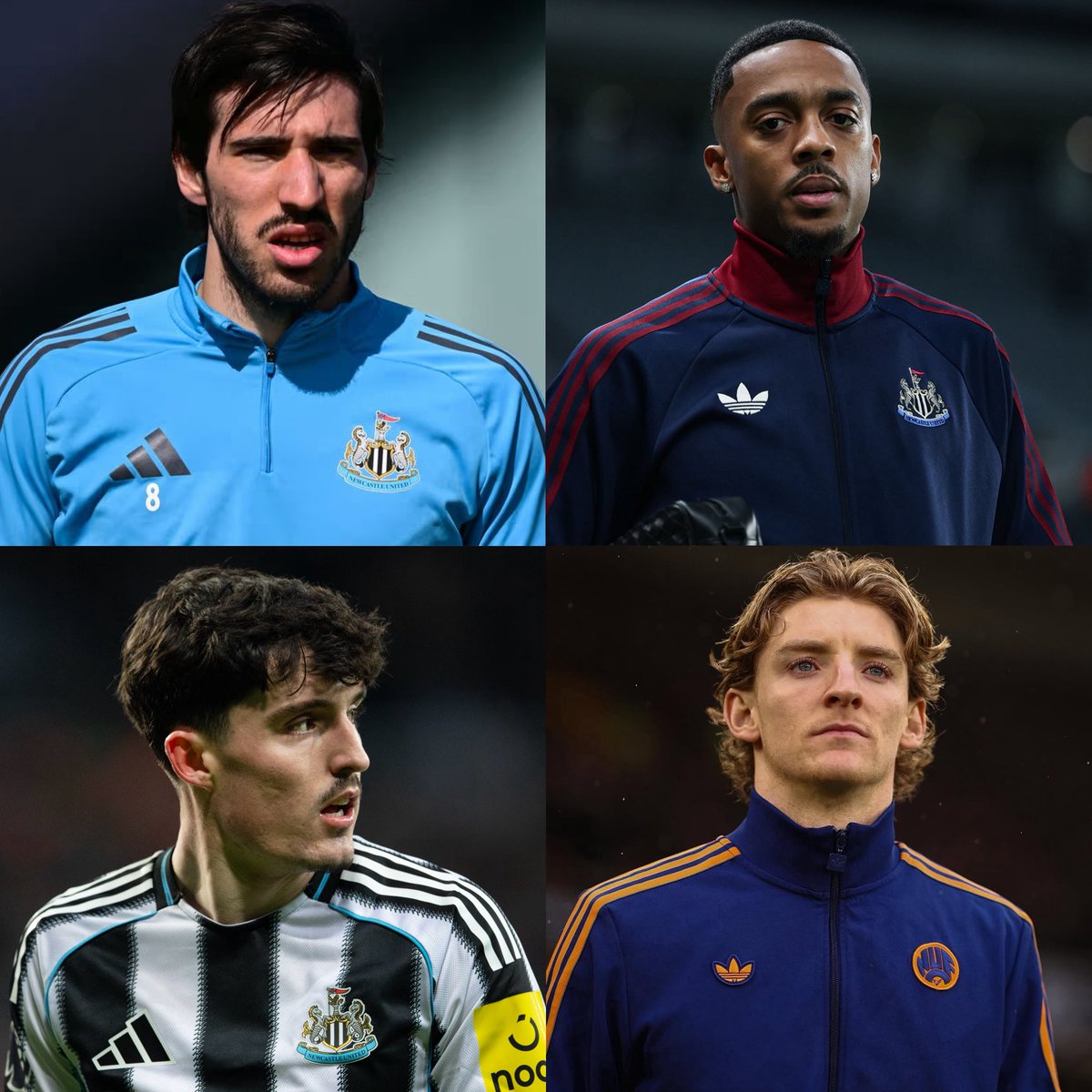 Newcastle Updates tweet media