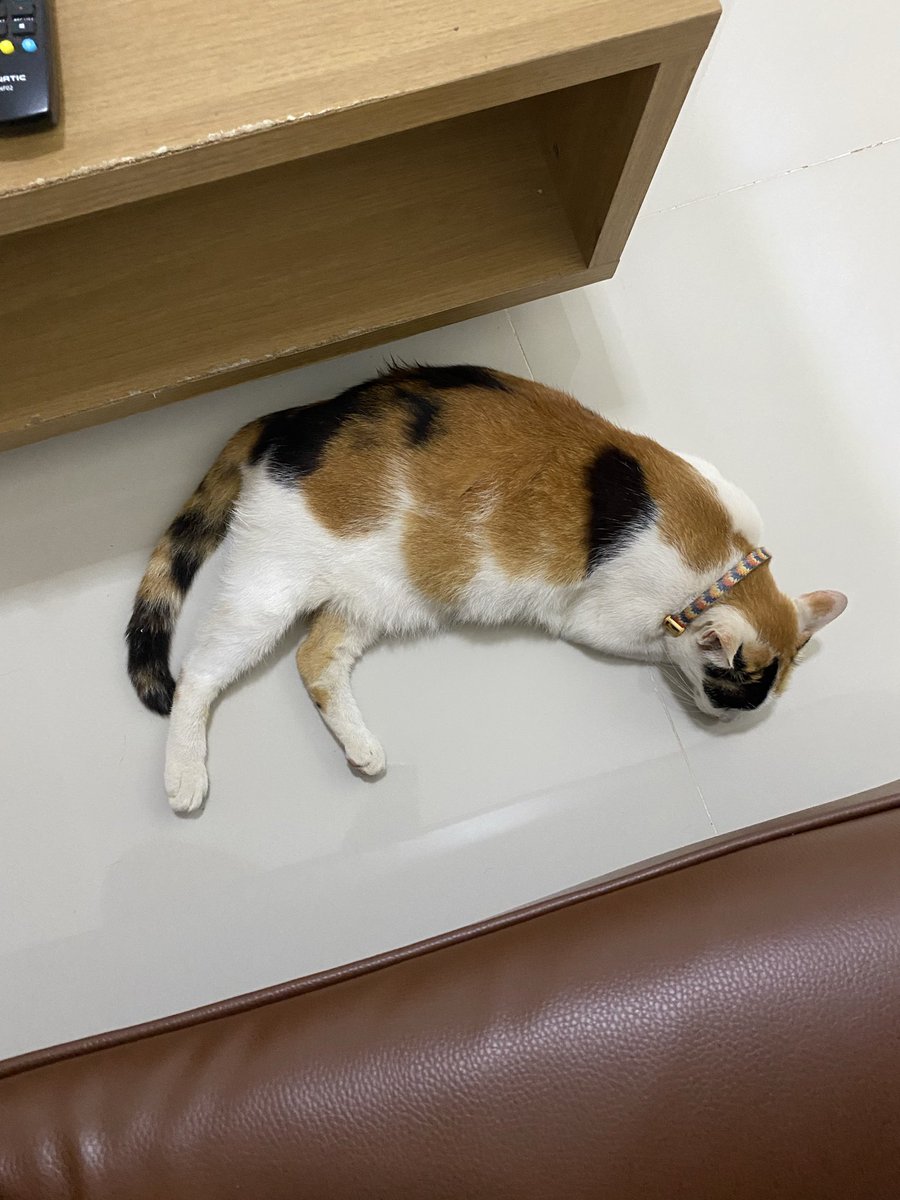 PrSaRap's tweet image. ต้องทนอีกนานแค่ไหน แต่ทนมาได้ขนาดนี้ ทนอีกหน่อยเป็นไรไป #gen x