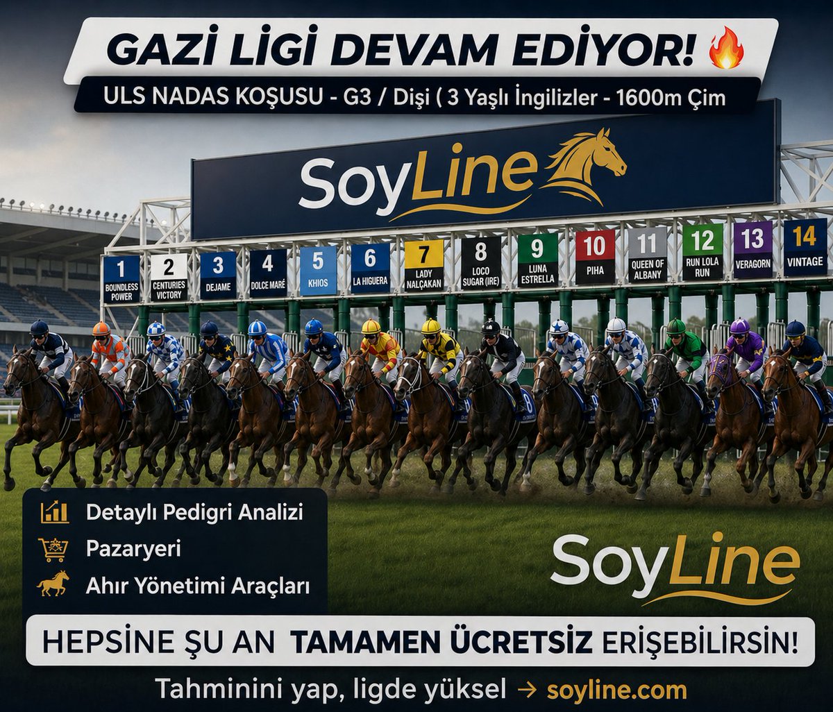 SoyLine.com tweet media