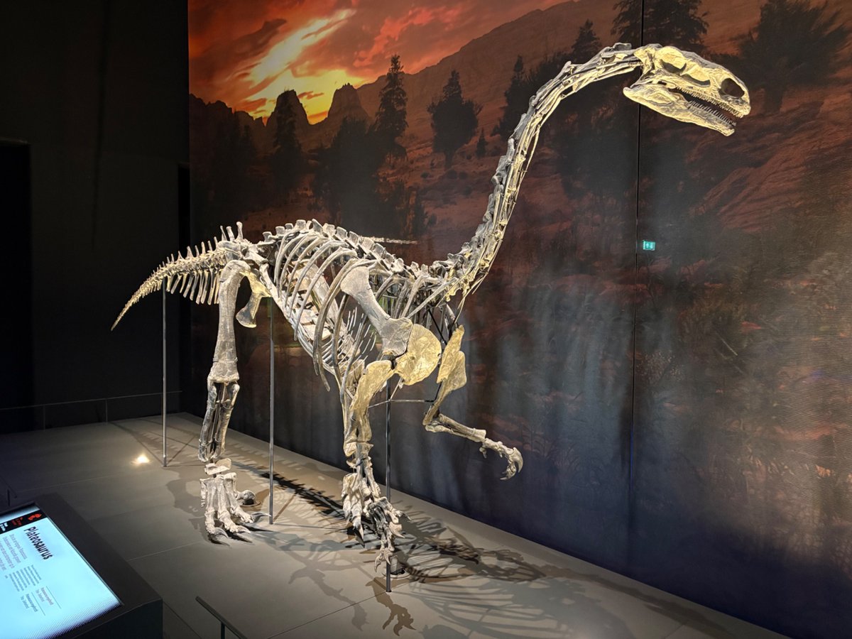 Jan Jaap Karsten tweet media