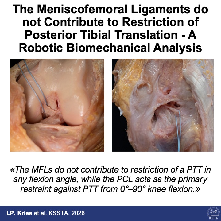 Knee Surgery, Sports Traumatology, Arthroscopy tweet media