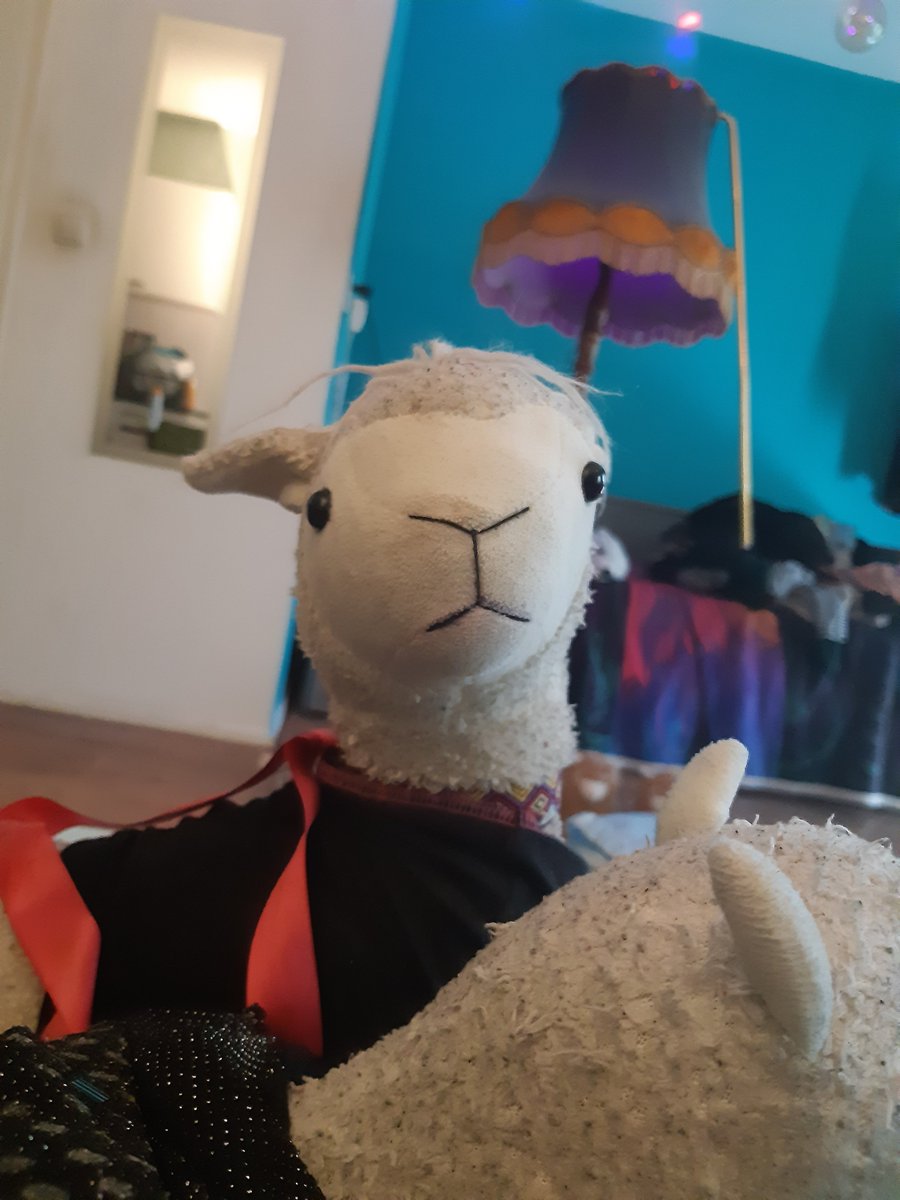 Alpaca tweet media