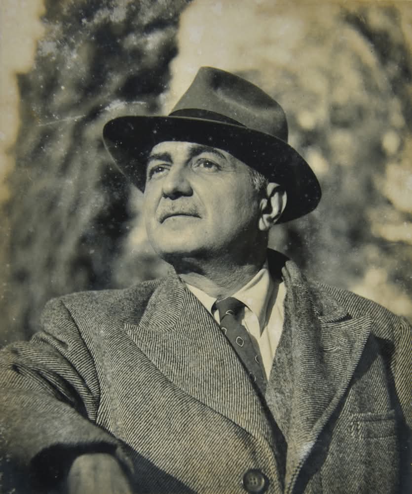 bernardo tweet media