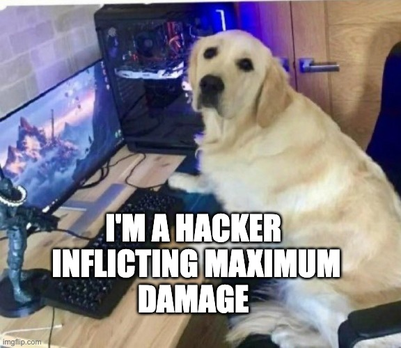 Elwood Fella tweet media