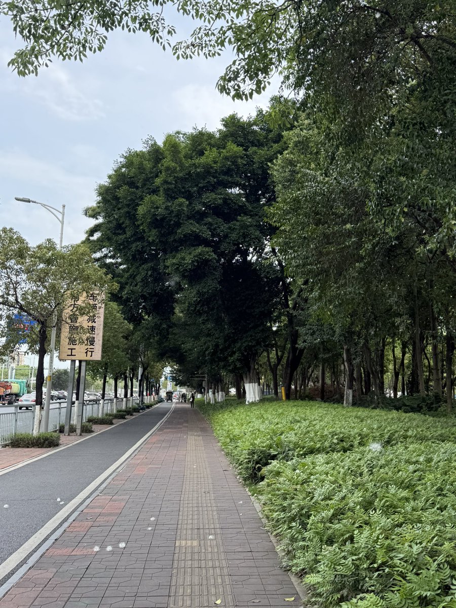 吐司夹辣条 tweet media