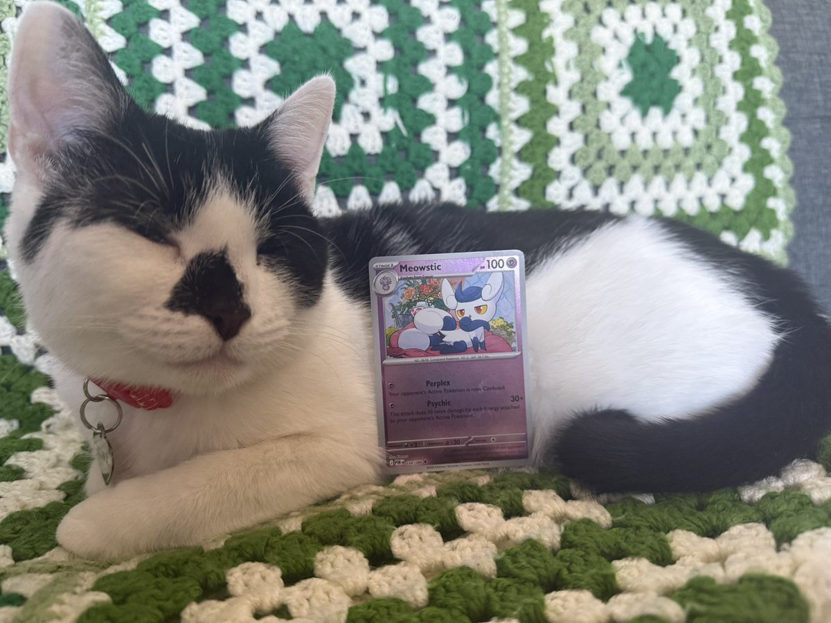 Minx wants to know if you like her Pokemon card