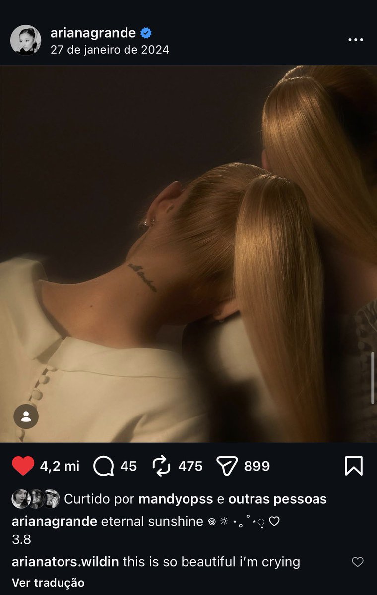 lari ꕤ tweet media