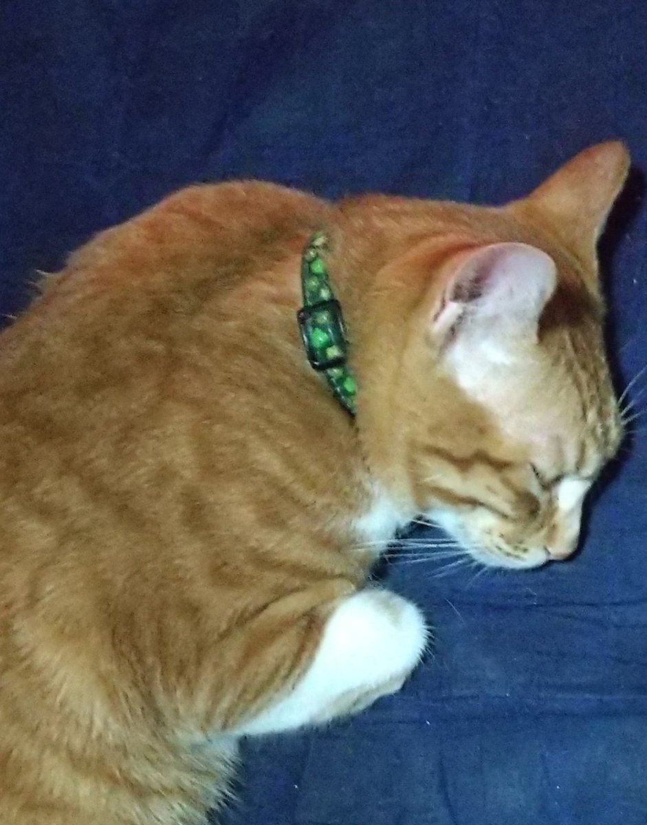 Black Diamond 製作ご依頼 承ります😌 tweet media