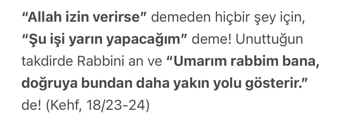 feyza tweet media