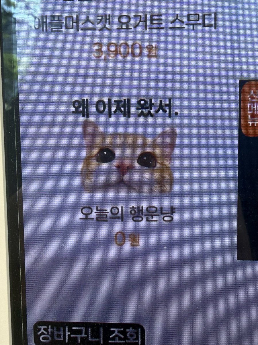 햄롱떡 tweet media