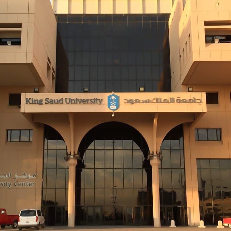 المخضرم 先生 tweet media