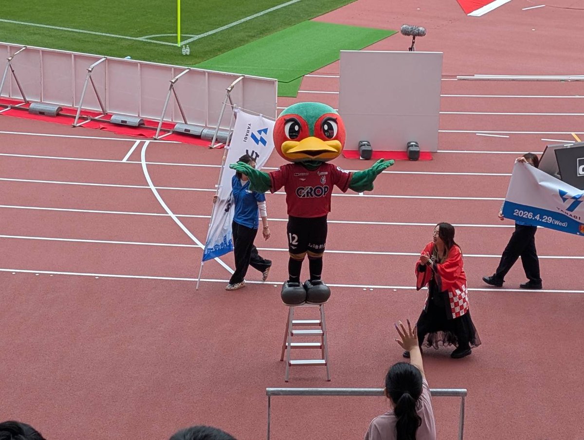 にゃん🐱🐶🐾 tweet media