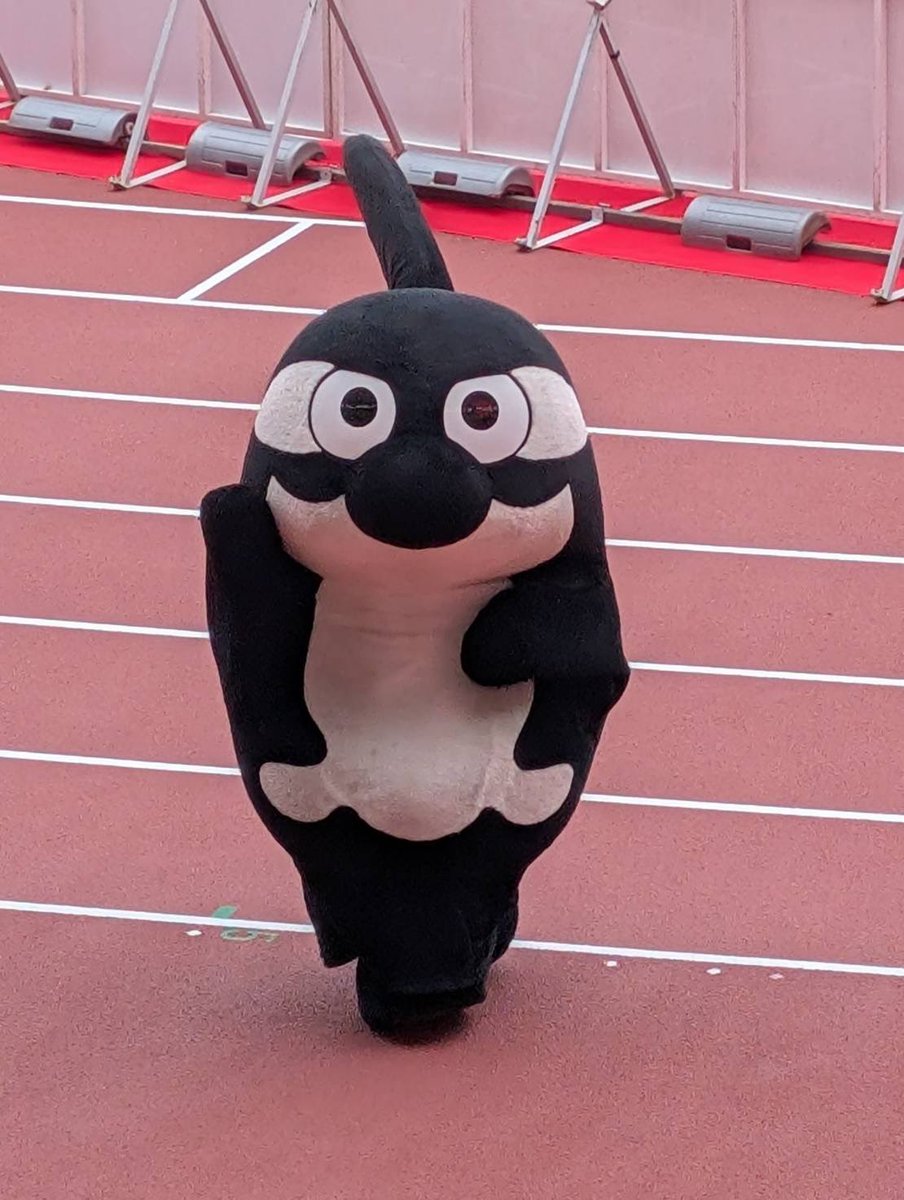 にゃん🐱🐶🐾 tweet media