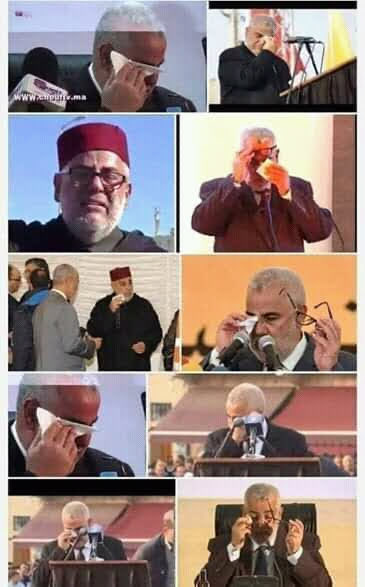 JosephMoise2 tweet media