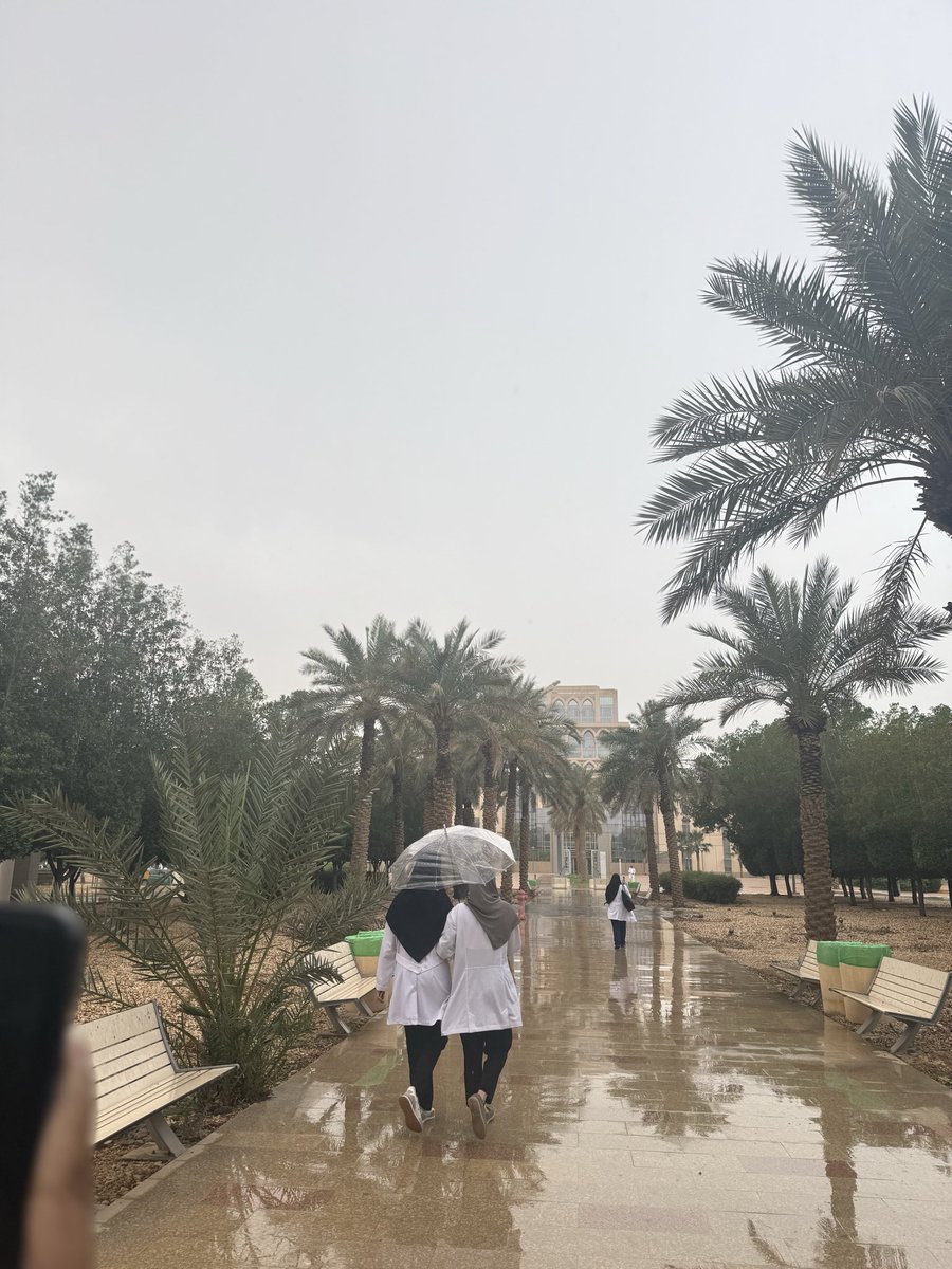 l500s25's tweet photo. Such a lovely day 🌧️ https://t.co/VRy4Yd17tr