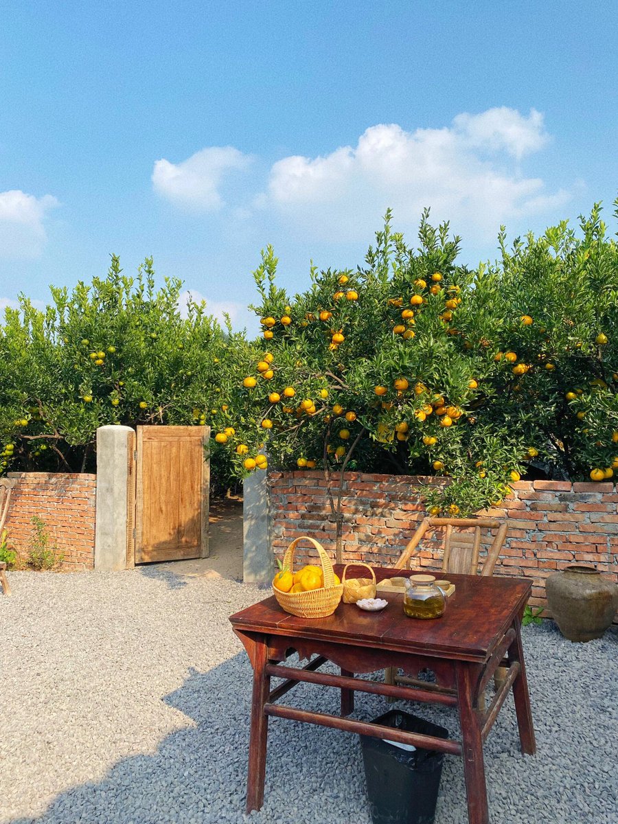 Lior Ohayon tweet media